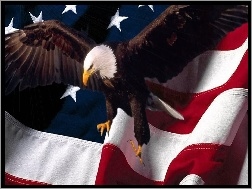 USA, Orzeł, Flaga